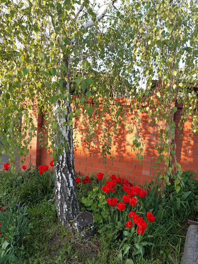 Коттедж 81 м² на участке 6 сот.