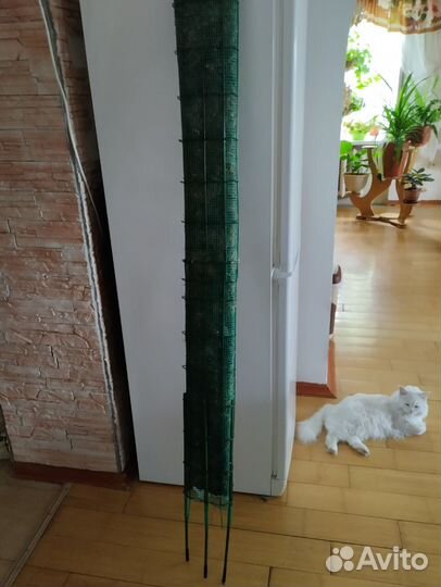 Тотем моховый гигант