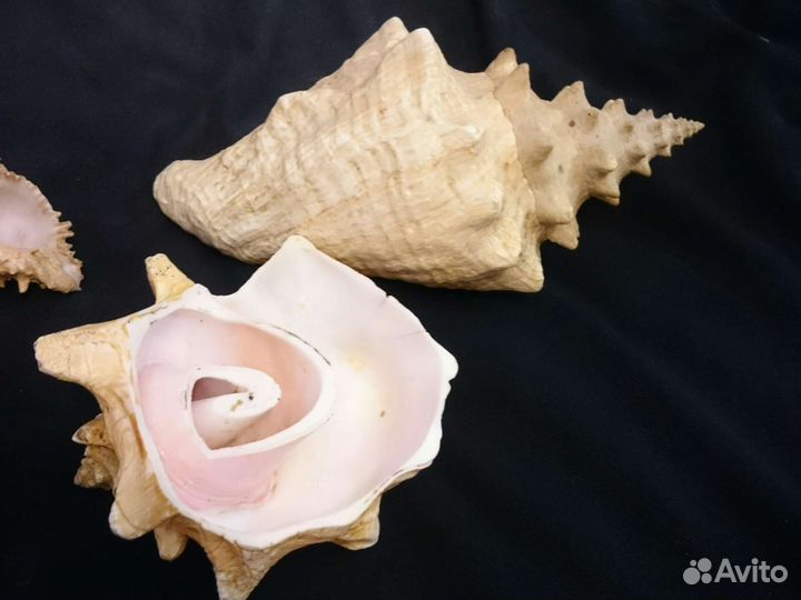 Принадлежности для аквариума