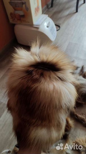 Куски лисы и шапка из лисы меховая