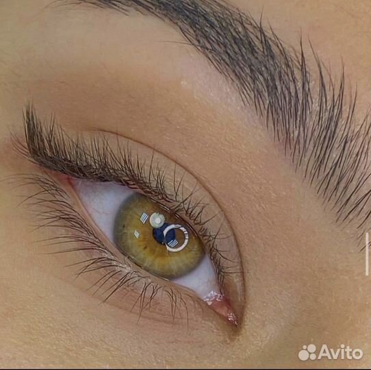 Обучение с нуля