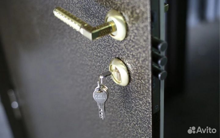 Дверь входная металлическая