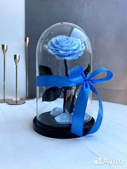 Вечная роза в колбе