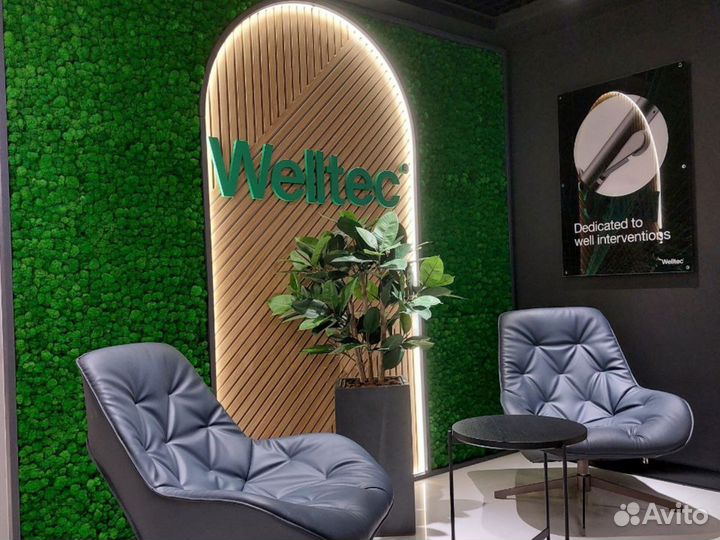 Фитостены / искусственные растения