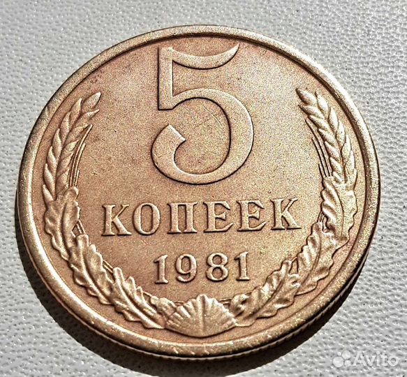 5 копеек 1981