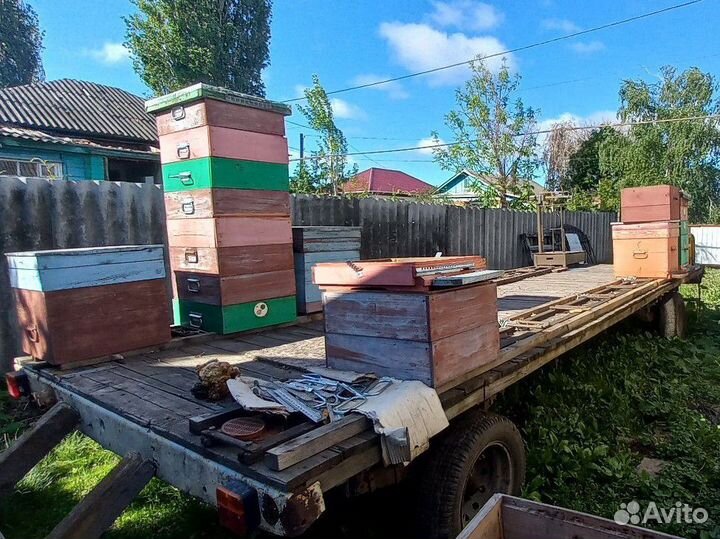 Прицеп платформа для перевозки пчел