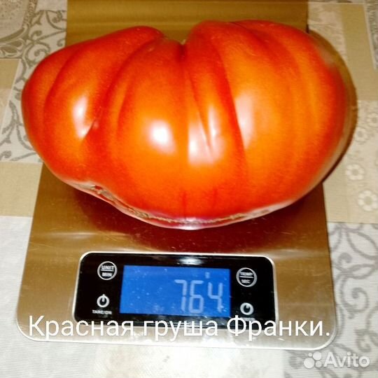 Семена коллекционных сортов томатов