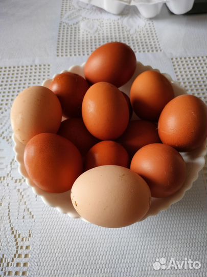 Домашние куриные яйца с доставкой