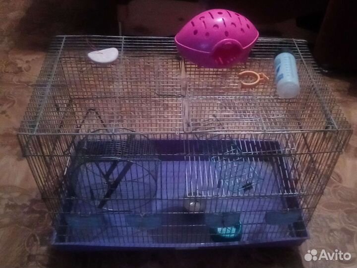 Клетка для грызунов