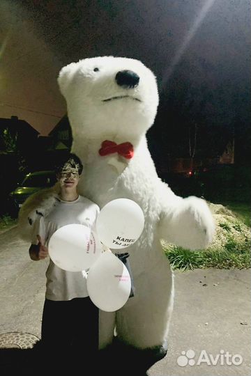 Белый медведь поздравление. Ростовые куклы. Аренда
