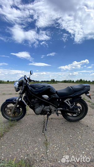 Suzuki Bandit