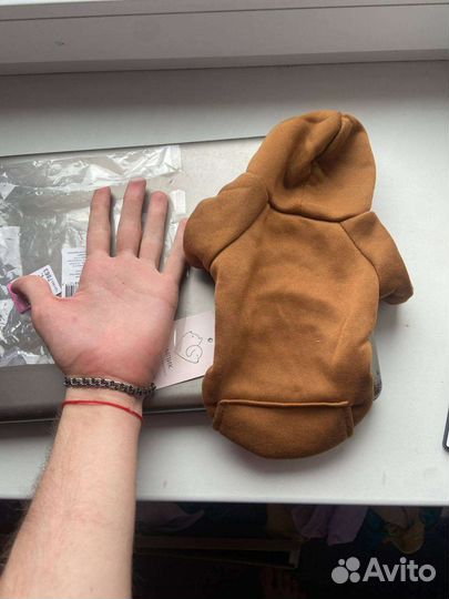 Одежда для собак