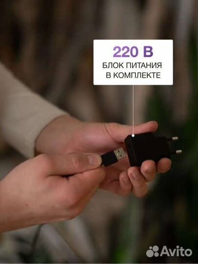 Фитолампа для растений. Новое