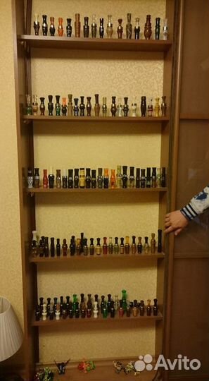 Научу за одно занятие На манках на утку или гуся