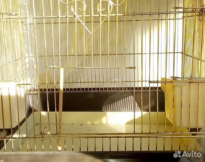 Клетка для птиц