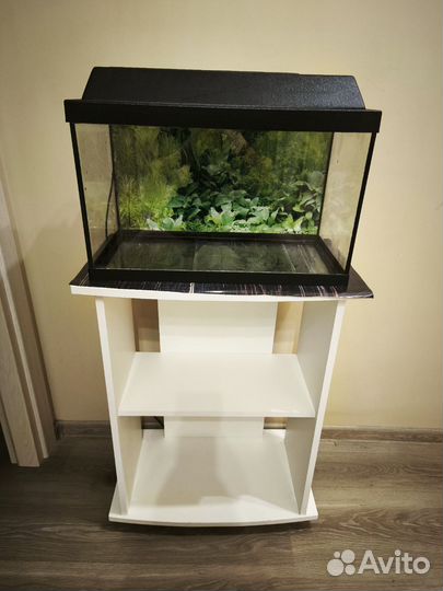 Аквариум+тумба