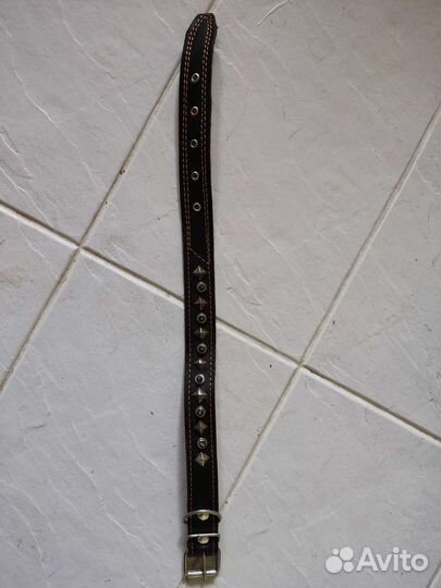 Ошейник для собак