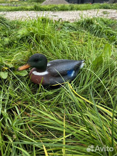 Чучело утки