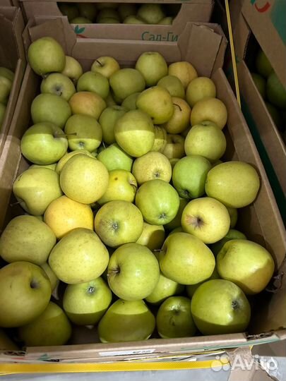 Яблоки Голден опт