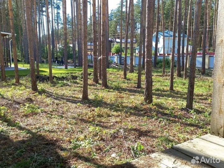 Расчистка участка. Корчевание, удаление деревьев