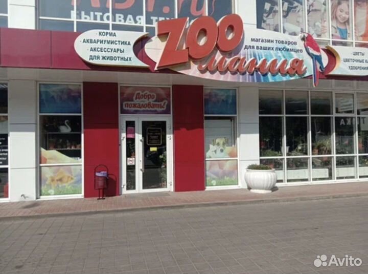 Продавец консультант в зоомагазин