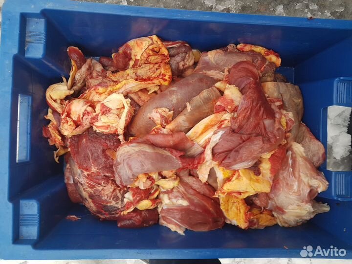 Обрезь говяжья, для собак