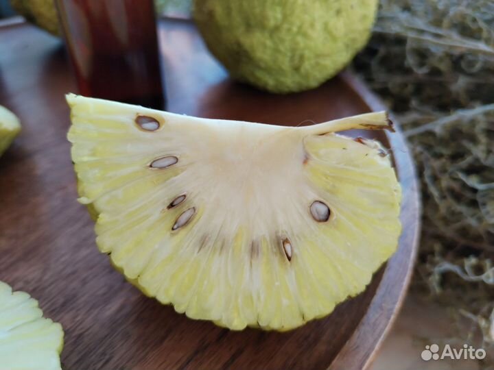 Мазь от грибка ногтей