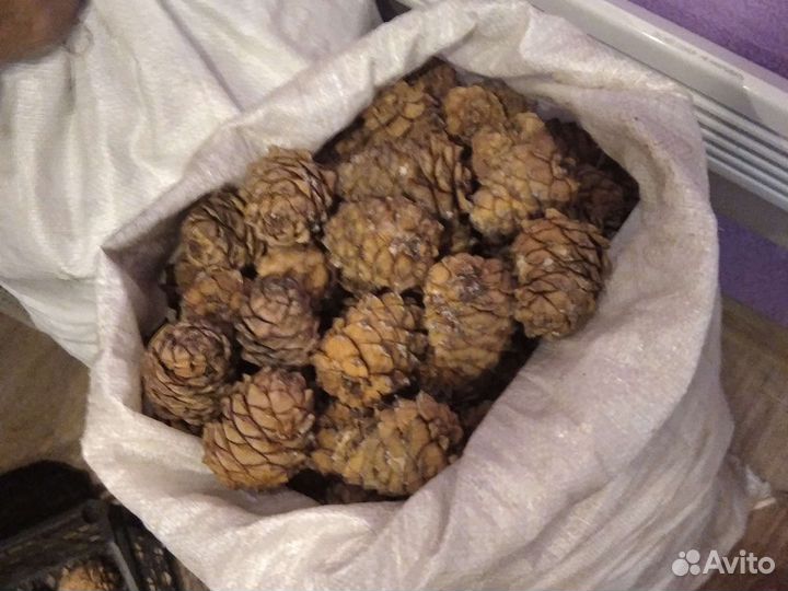 Шишки для поделок