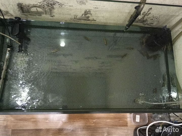 Аквариум 250л