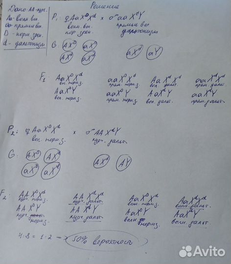 Репетитор по химии, математике