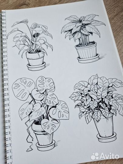 Раскраска анти стресс Растения