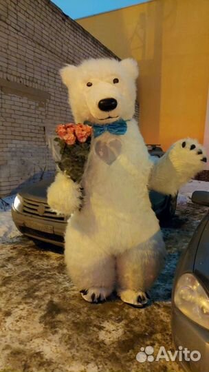 Белый мишка поздравление