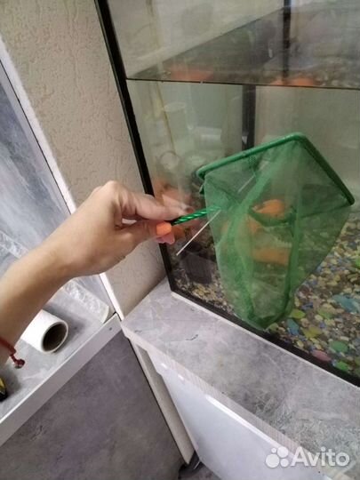 Высокий аквариум 60 см