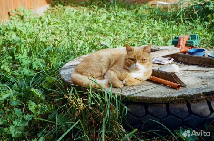 Olympus Superzoom 700XB