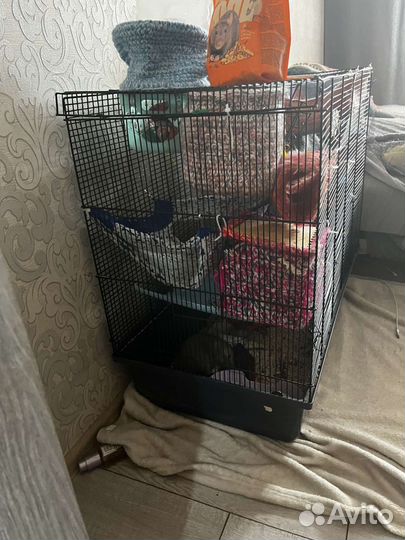 Клетка для грызунов большая