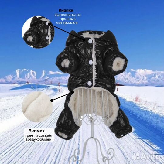 Комбинезон для собак