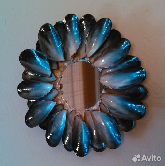 Ракушка морская. Раковины черноморские