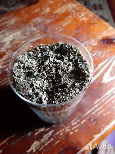 Семена кинзы и укропа 2021 г