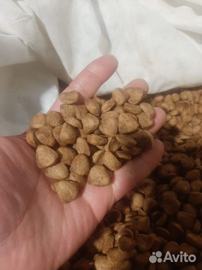 Корм для кошек и собак