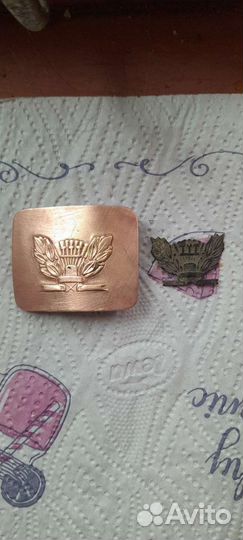 Пряжка и значок