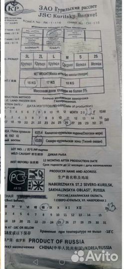 Рыба кижуч