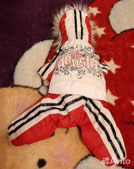 Одежда для собак