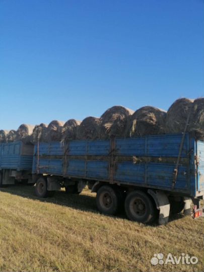 Продам сено в рулонах
