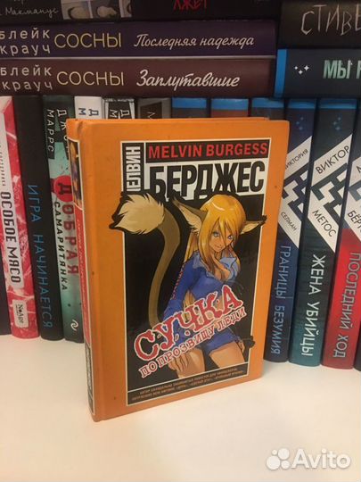 «мелвин берджес. cучка по прозвищу леди»