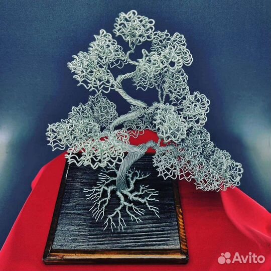 Дерево бонсай