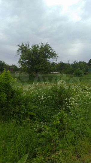 Участок 7 га (ИЖС)