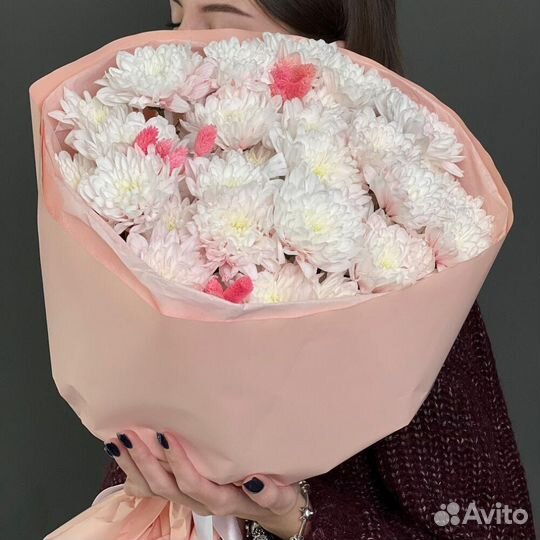 Хризантема 