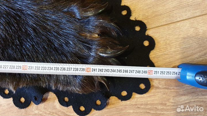 Шкура медведя