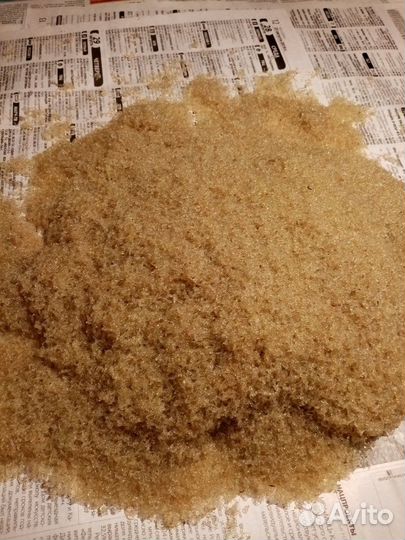 Коретра живая и замороженная