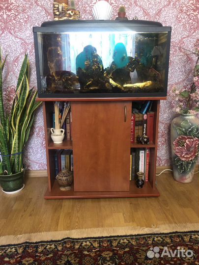 Аквариум с тумбой 200 литров